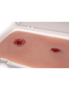Moulage e simulação de...