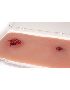 Moulage e simulação de um...