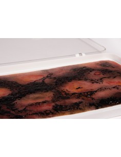 Moulage e simulação de...