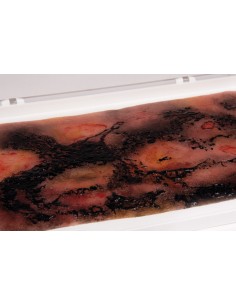Moulage e simulação de... 2