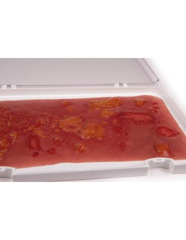 Moulage e simulação de queimaduras de... Moulage e simulação de queimaduras de...