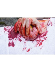 Moulage e simulação de... 2