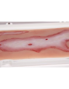 Moulage e simulação de... 2