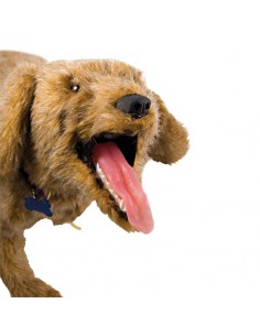 Boneco de cão para cuidados...