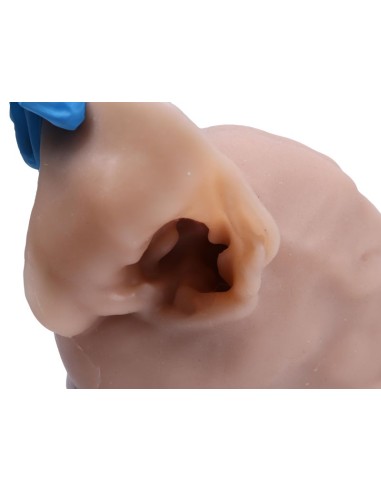 Simulador de otoscopia veterinária...