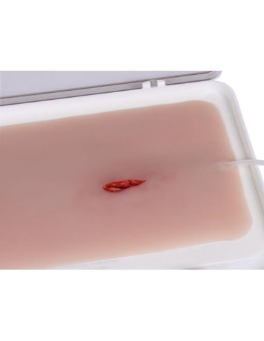 Erler Zimmer EZ-NW115 moulage de...