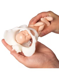 Mini-pé-de-mulher com... 2